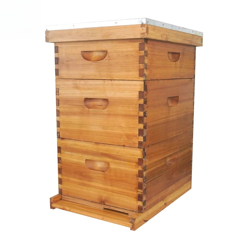 Beehive Frame Wax - Colmeia Langstroth completa de 3 camadas,