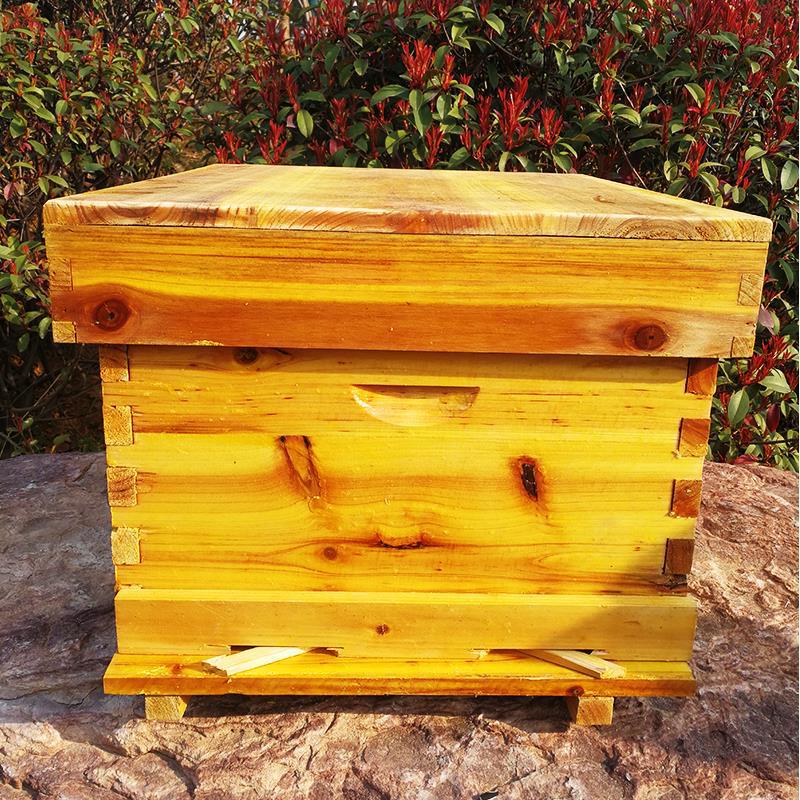 Conjunto completo de ferrament - Beehive Frame Wax avaliação e preço